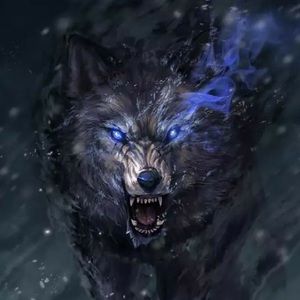 Meet your Posher, Jose